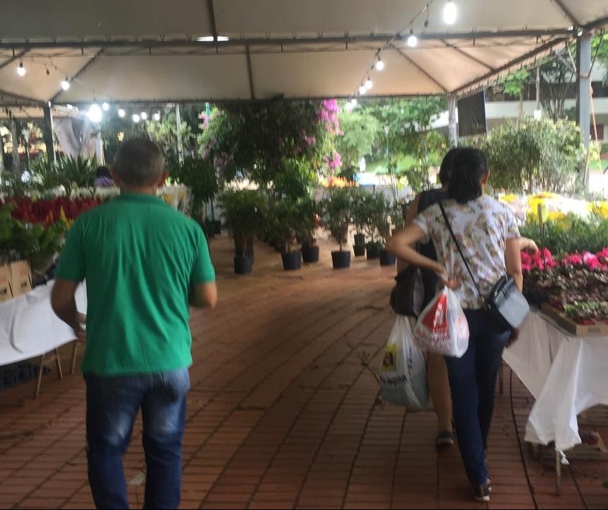 Maringaenses ganham mais uma feira de flores e plantas