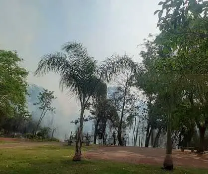 Incêndio atinge reserva florestal do Parque das Palmeiras em Maringá