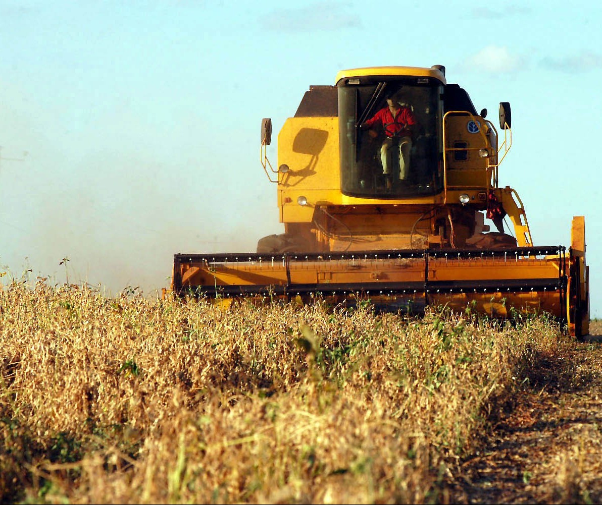 Intenso calor e chuva agrava situação de perda nas lavouras de soja do Paraná
