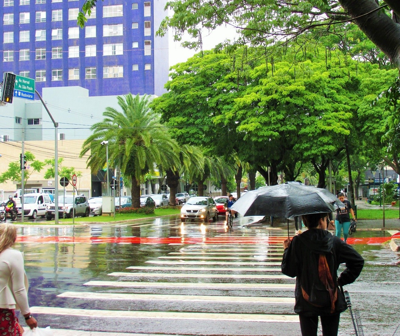 Terça-feira (16) segue com previsão de chuva para Maringá
