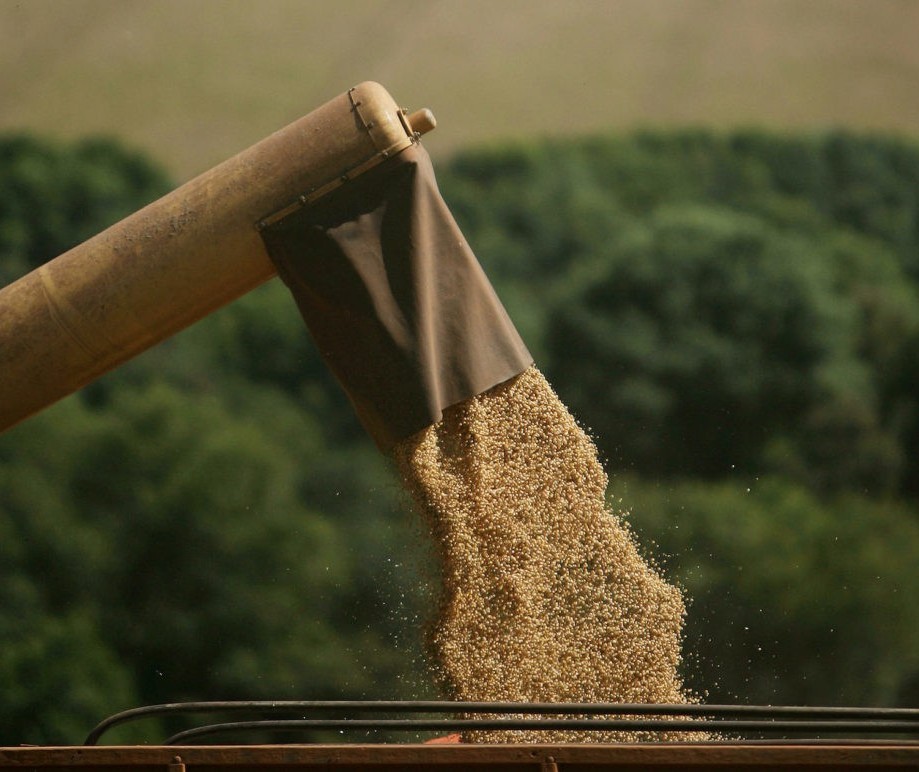 Produtor brasileiro de soja deve segurar as vendas, dizem analistas