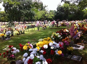 Cemitério Parque de Maringá encanta pelo colorido das flores neste Dia de Finados