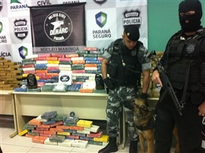 Denarc de Maringá realiza maior apreensão de drogas no Paraná neste ano