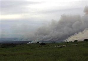 Bombeiros tentam controlar um incêndio no Parque Nacional de Ilha Grande que já destruiu 50 km² de mata