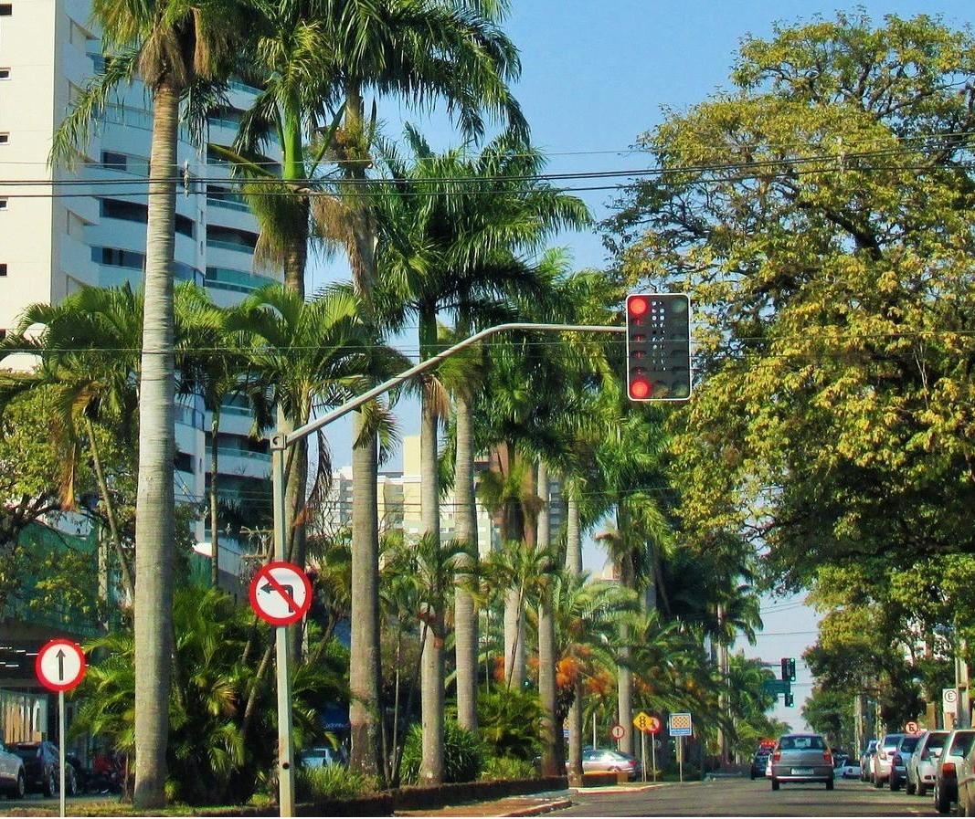 Saiba como fica o tempo em Maringá nesta quinta-feira (5)