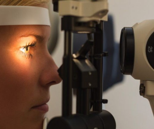 Exames gratuitos ajudam a detectar lesão ocular causada por toxoplasmose