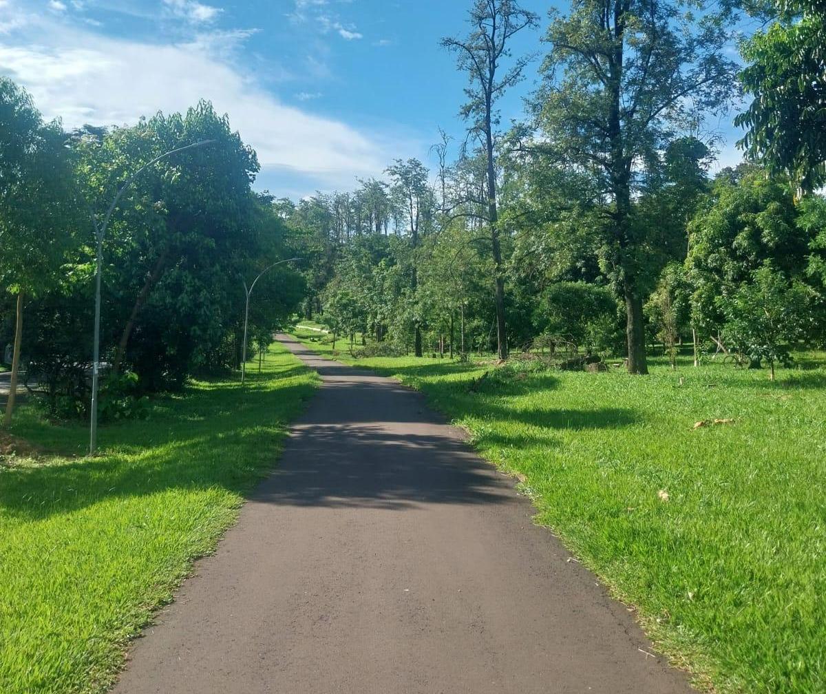Termômetros podem chegar a 36ºC neste sábado (7) em Maringá