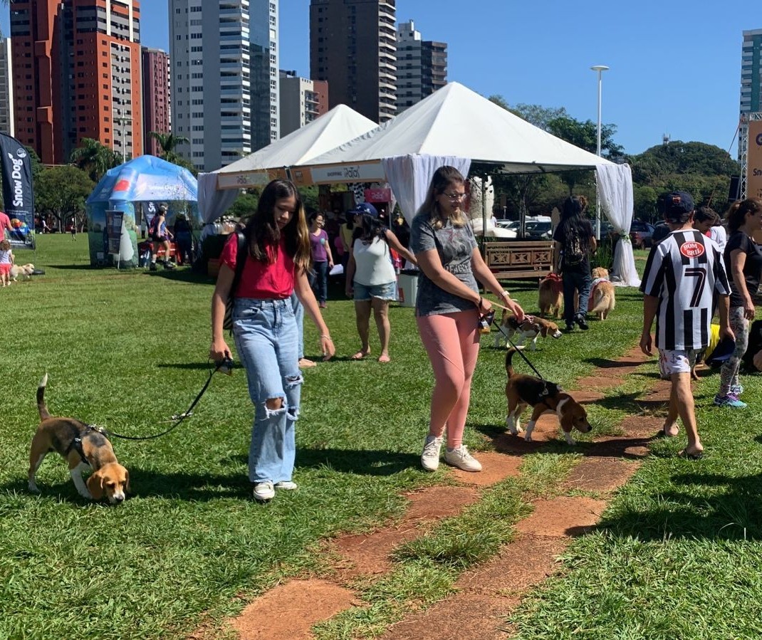 Pet Day é realizado na Praça da Catedral, em Maringá