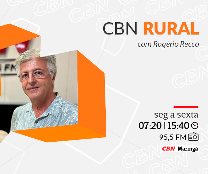 Ovos puxam recordes das exportações de proteínas em 2025
