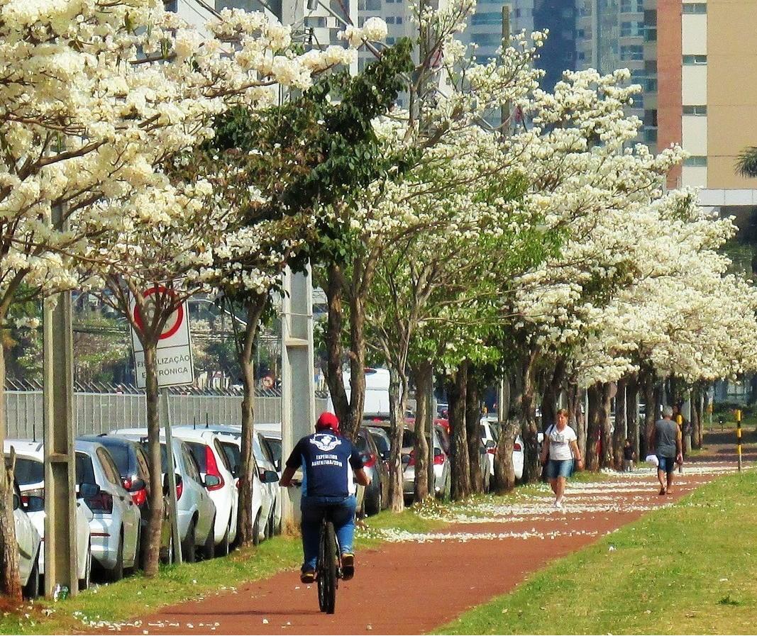 Por que Itaipu investe em ciclovias e caminhões de coleta seletiva?