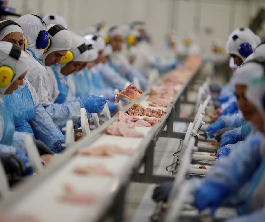 Exportação de frango recua; venda de carne bovina bate recorde