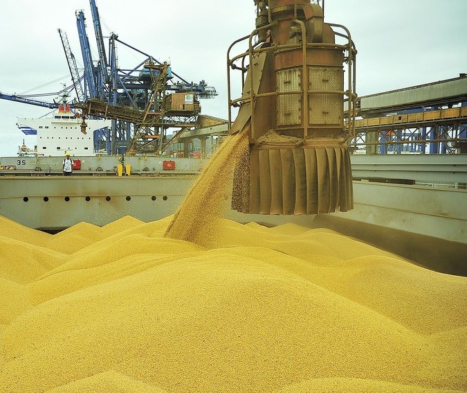 Produção de grãos fecha ciclo com estimativa de 228 mi de toneladas