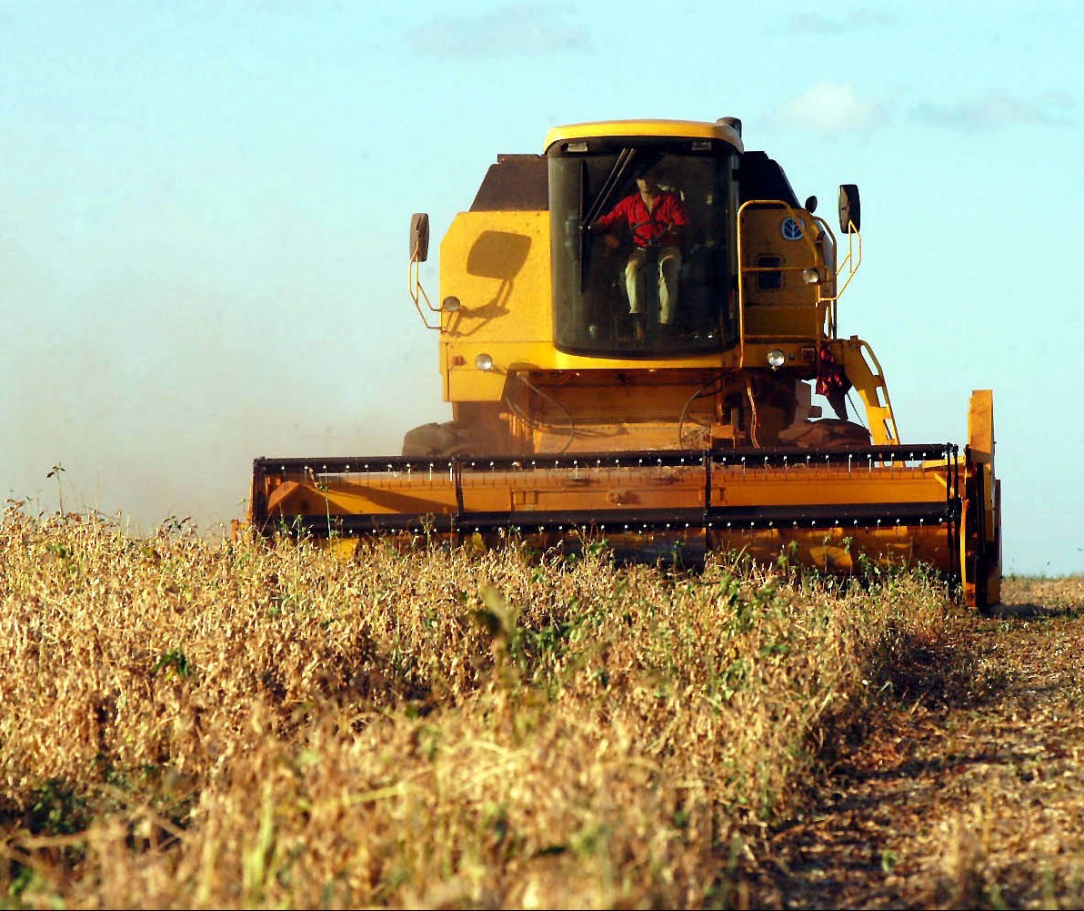 Colheita da soja atinge 97% das áreas no Paraná