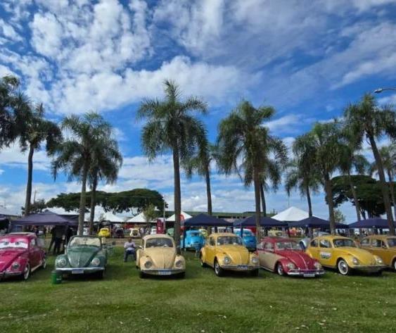 Maringá terá exposição de carros antigos no fim de semana
