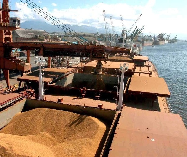 Porto de Paranaguá movimentará maior carga grãos de sua história