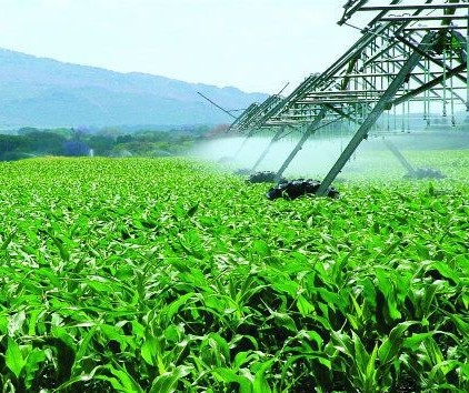 Quatro empresas têm 73% do mercado de fertilizantes no Brasil