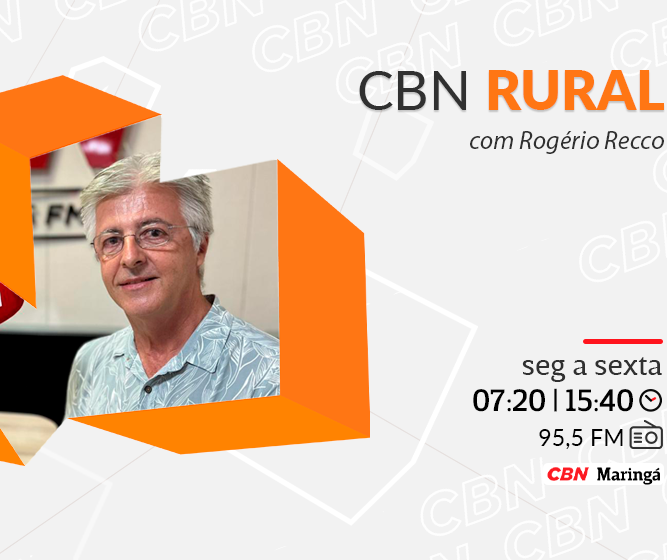 Inadiável planejar a sucessão familiar e a proteção patrimonial