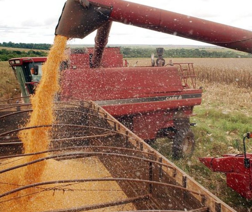 Safra brasileira de grãos deve somar 268,2 mi de toneladas