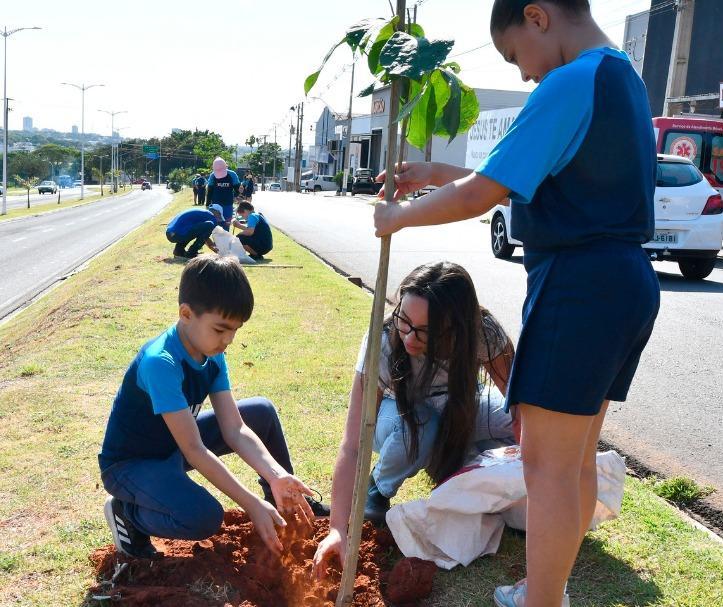 Projeto prevê o plantio de uma árvore a cada criança nascida em Umuarama
