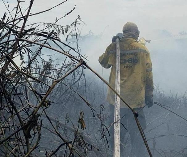 Mais de mil hectares são destruídos pelo fogo em Ilha Grande