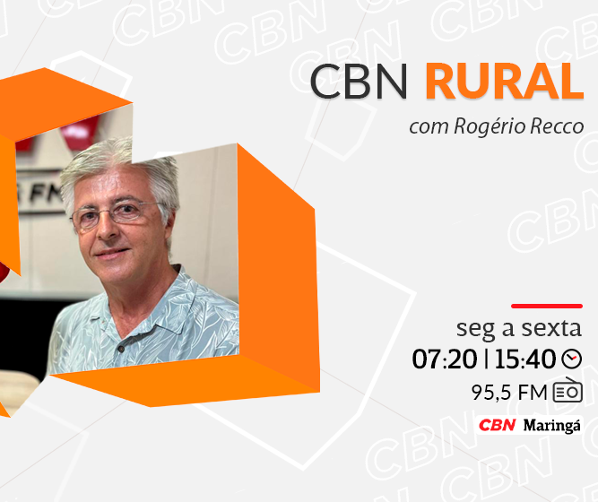 Prêmio Queijos do Paraná tem número recorde de inscritos