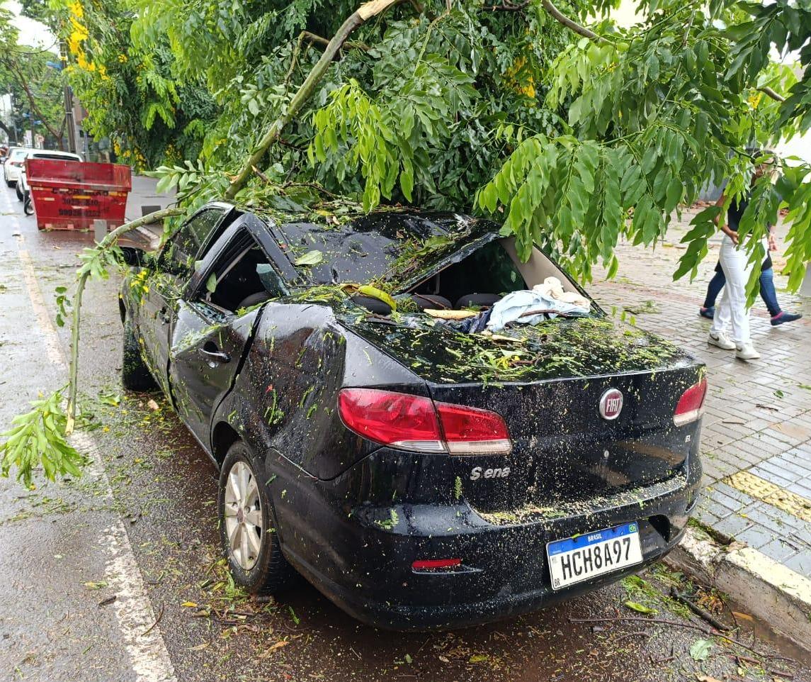 Chuva provoca queda de árvores e alagamentos em Maringá