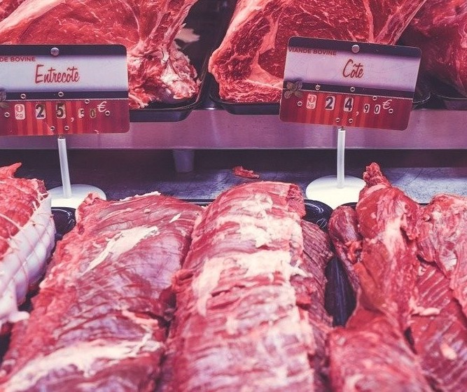 Exportações de carne bovina permaneceram em alta no ano de 2022