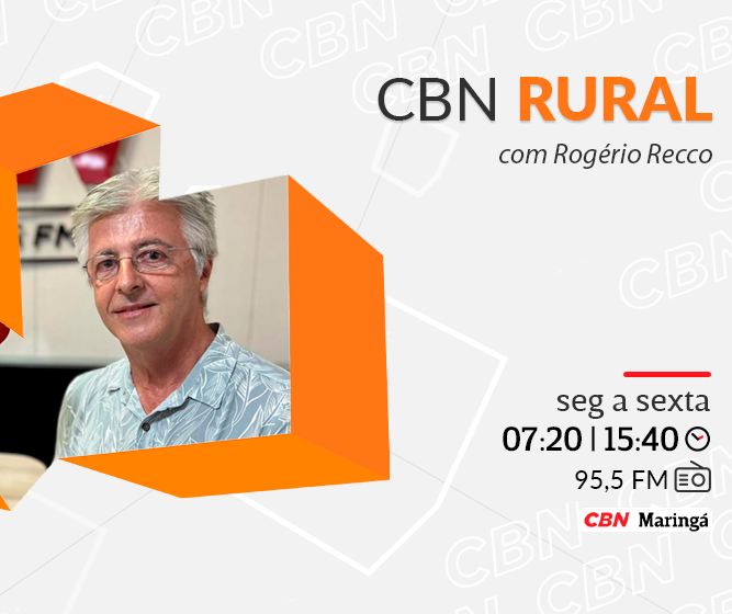 Zico fala ao CBN Rural sobre agro e o futebol atual