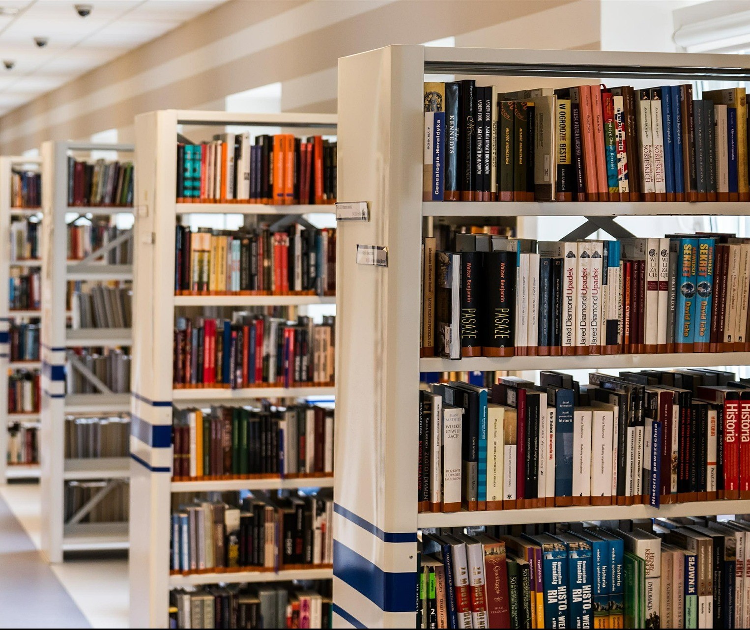 Bibliotecas municipais da cidade têm 400 livros de maringaenses