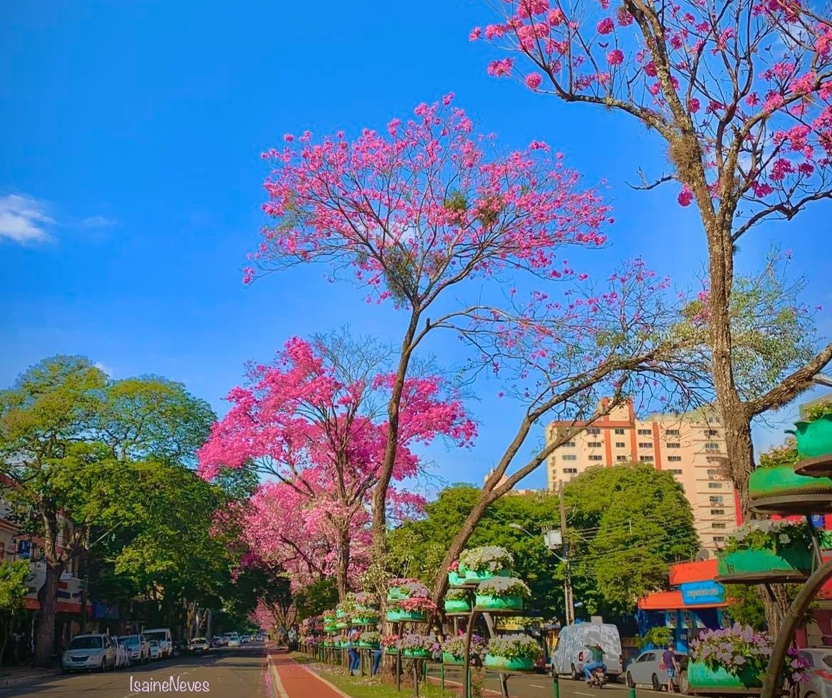 Frente fria avança pelo Paraná, mas tempo segue firme em Maringá nesta quinta-feira (4)