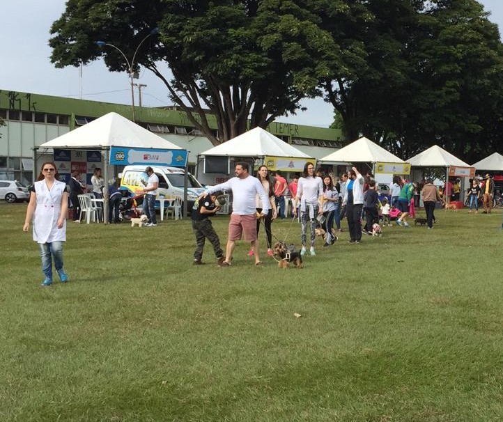 Famílias e seus cachorros aproveitam o Pet Day em Maringá