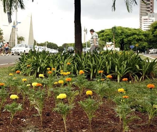 Ouvinte reclama de dificuldade para descartar resíduos de jardinagem