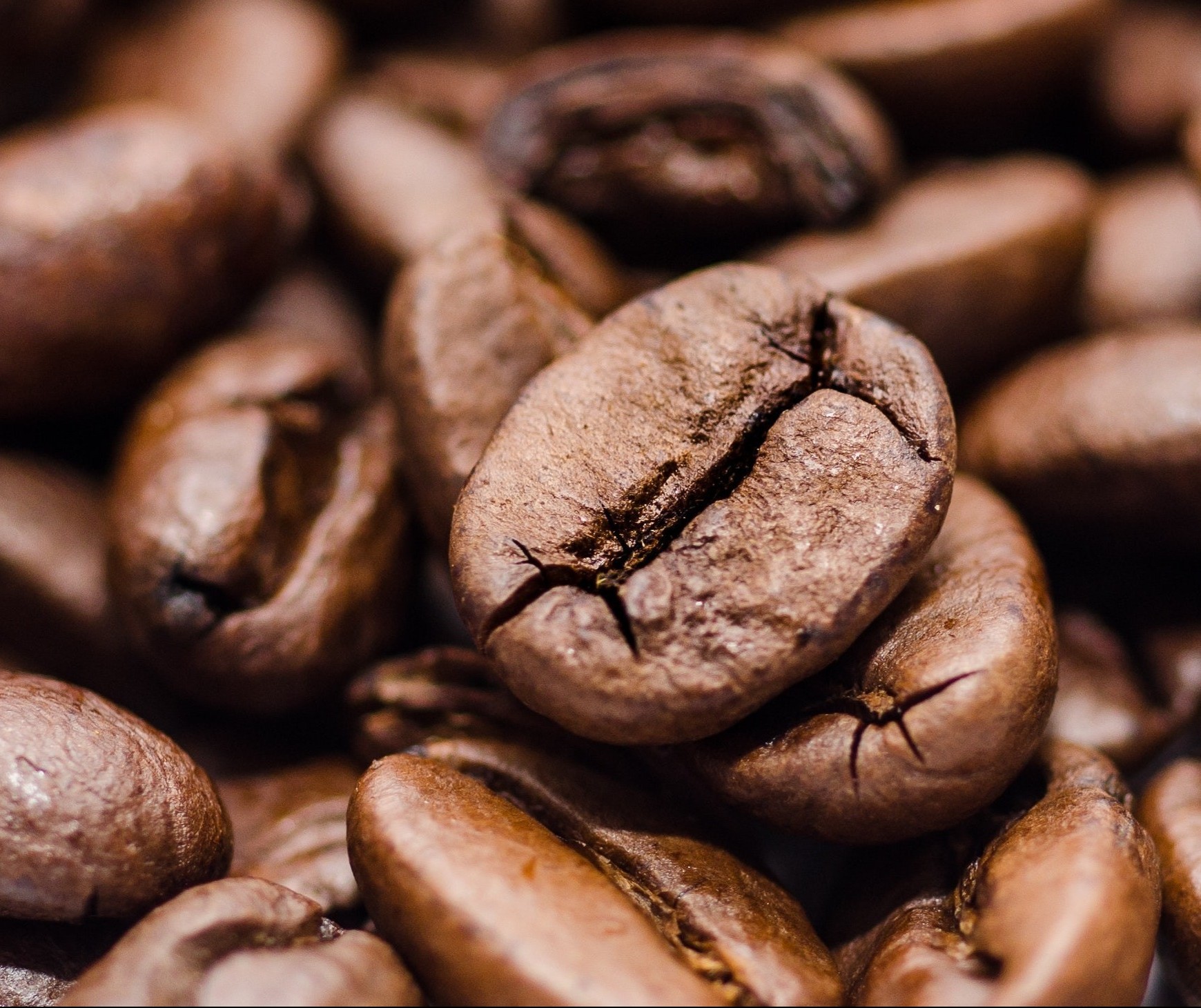 Café em coco custa R$ 6,33 kg em Maringá