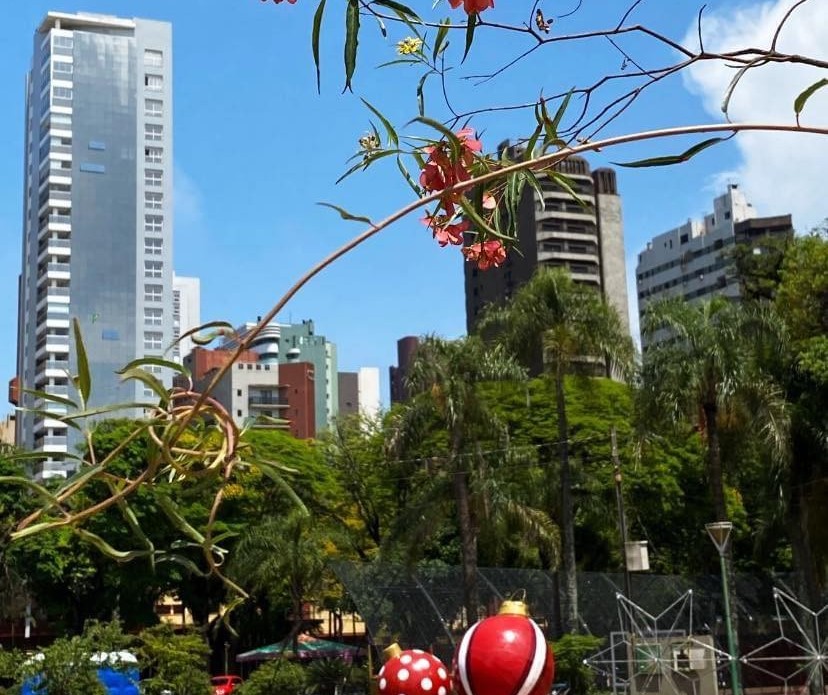 Tempo segue firme em Maringá nesta quinta-feira (22)