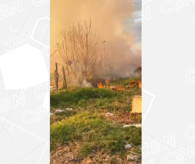 Em cinco horas, bombeiros recebem 25 chamados de incêndios ambientais