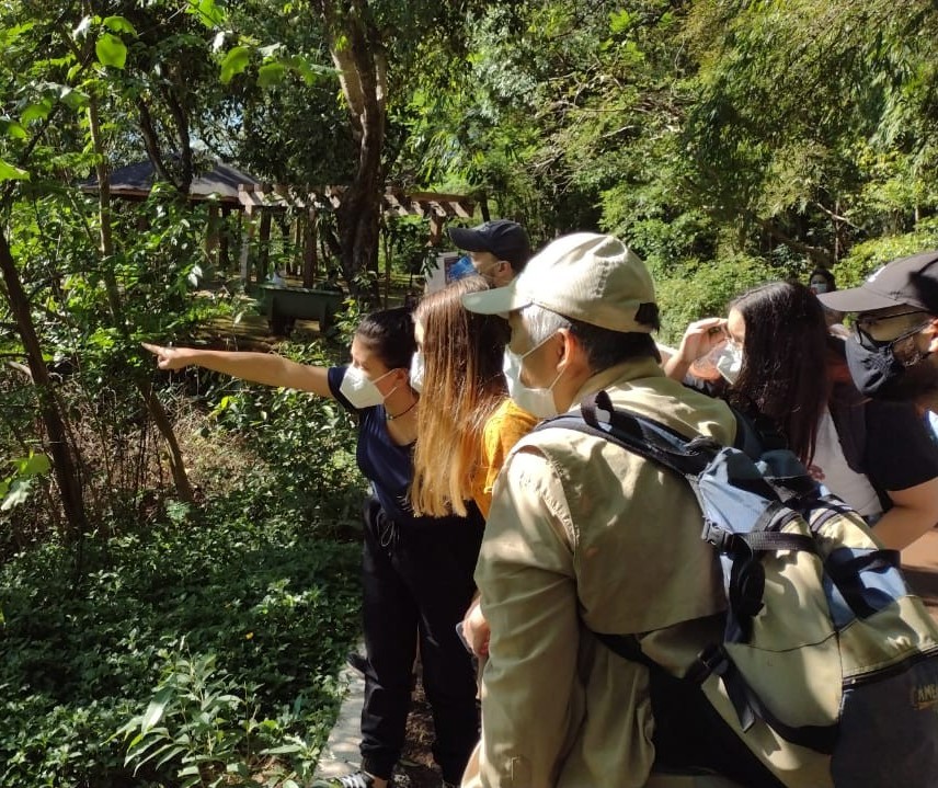 ‘Passaringá’ reúne observadores e entusiastas no Parque do Ingá