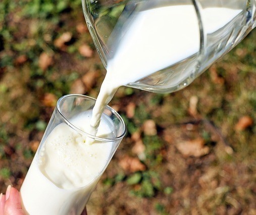 Produção de leite deve crescer este ano no país 