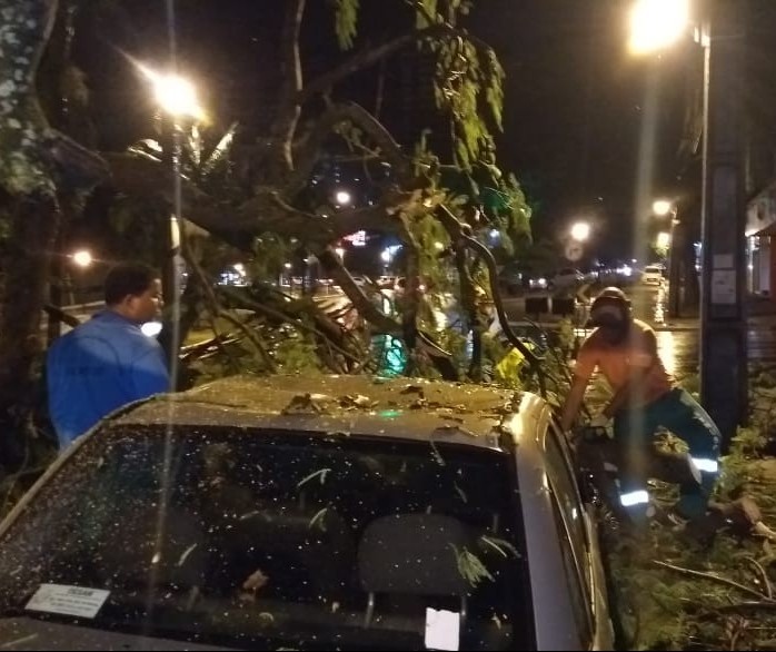 Chuva derruba duas árvores em Maringá e alaga vários pontos