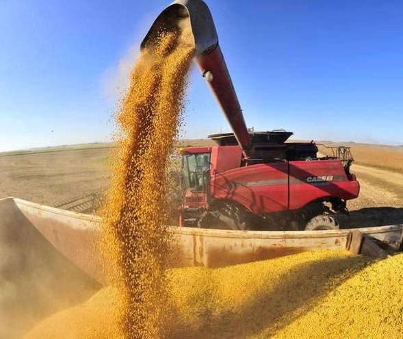 Safra de grãos 2017/18 pode chegar a R$225 mi toneladas