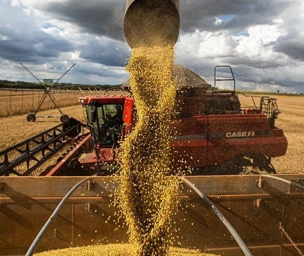 PIB do agronegócio brasileiro recuou novamente no segundo trimestre de 2022