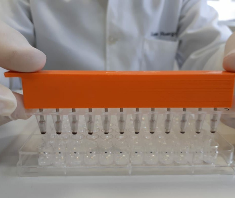 Método descrito por pesquisadores da UFPR aprimora teste rápido de coronavírus