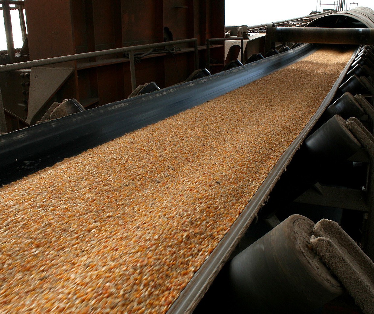 Exportações de milho por Paranaguá devem aumentar em abril e maio