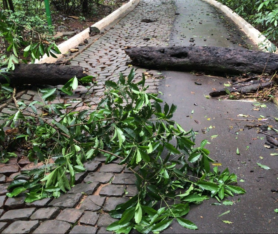 Parque do Ingá ficará fechado neste domingo (24) por causa do temporal