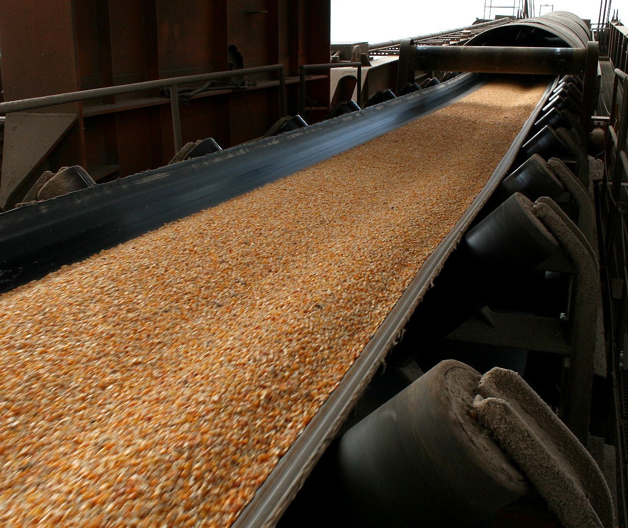 Em cinco anos, Brasil pode ultrapassar os EUA como maior exportador de milho