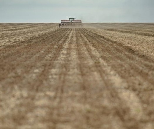 Lavoura dos EUA pode ter grande colheita este ano