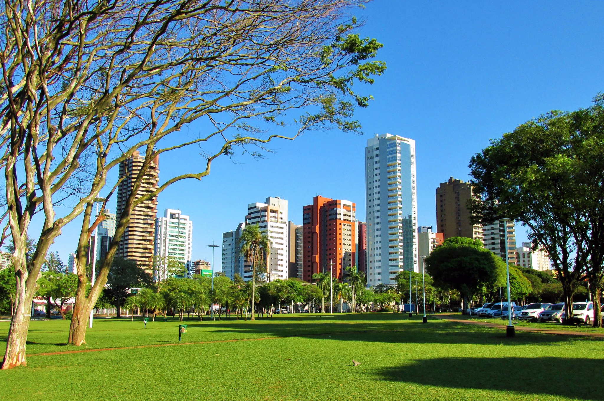Sem chuva prevista, tempo segue abafado em Maringá nesta segunda (16)