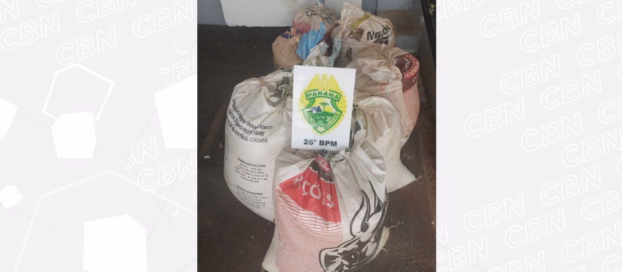 Ex-funcionário é suspeito de furtar ração de granja e vender mercadoria nas redes sociais