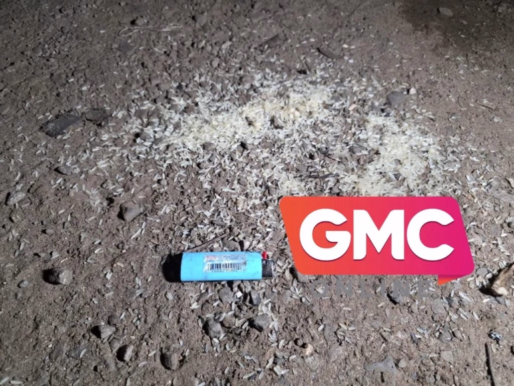 Motorista sofre queimaduras após explosão de gás em pátio de posto de combustíveis em Maringá