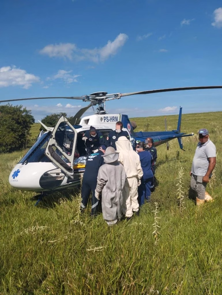 Homem sofre cerca de 100 picadas de abelhas e fica gravemente ferido na região