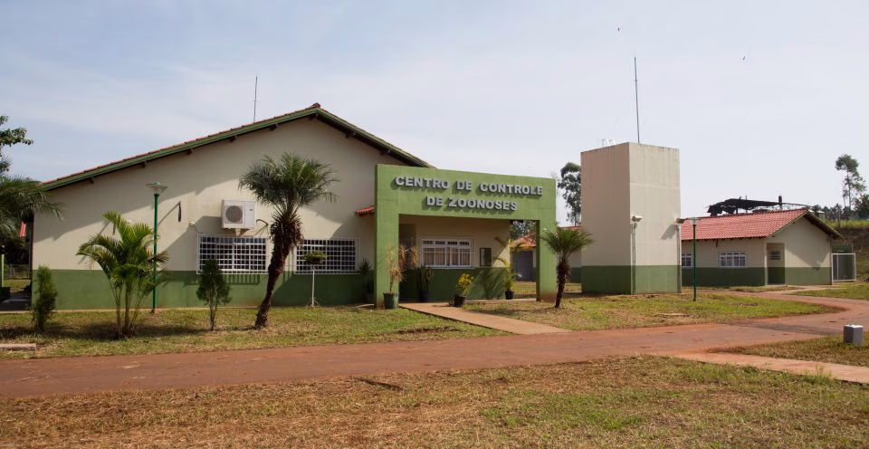 Centro de Zoonoses de Maringá está sendo ampliado e ganha equipe especializada em medicina veterinária do coletivo